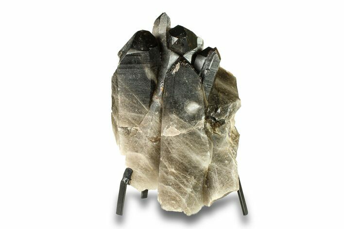 Dark Smoky Quartz Crystal Cluster - Brazil #293625
